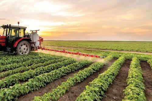 صادرات ۶ و دو دهم میلیارد دلاری کشاورزی در ۱۴۰۲