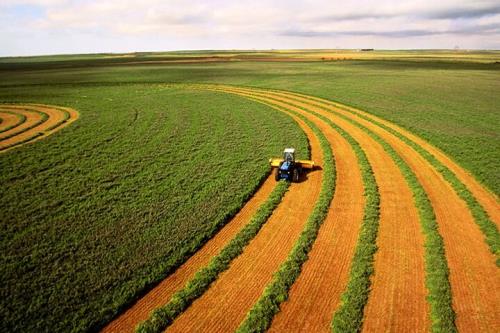 اولویت های بخش کشاورزی از تدوین قانون مستقل تا تولید تجاری