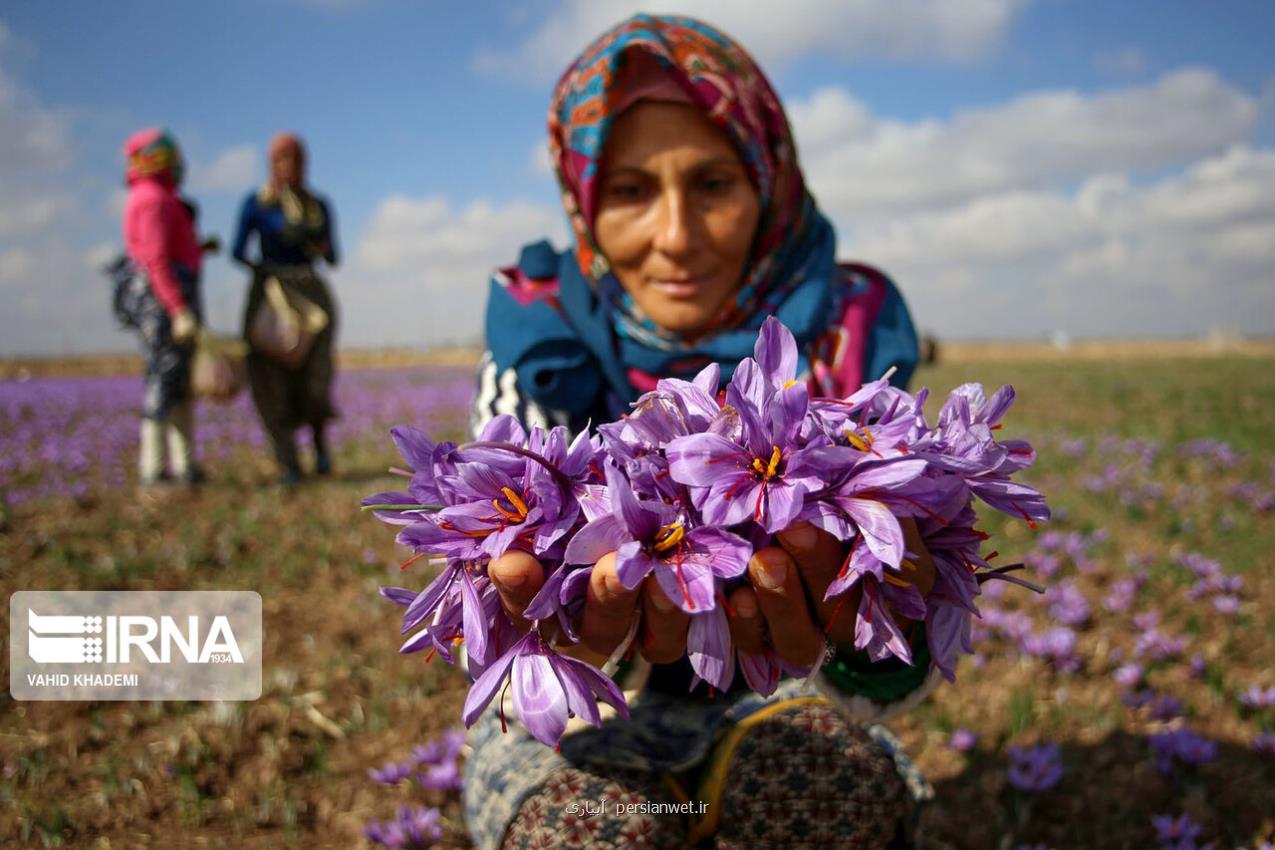 صندوق های پشتیبانی از زنان روستایی تقویت می شوند