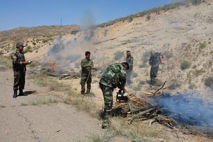 500 هزار همیار طبیعت با یگان حفاظت منابع طبیعی همکاری می کنند